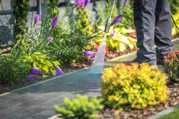 Best Sidewalk and Walkway Cleaning  in Richwood, TX